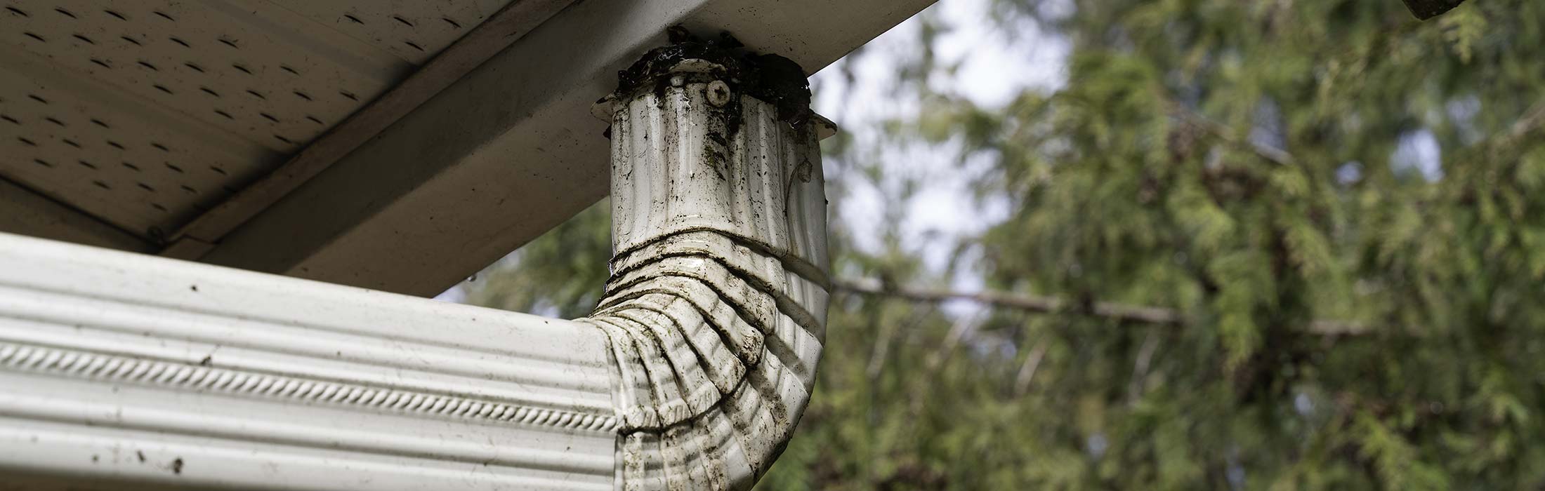 Empire Gutter Cleaning, Inc. Gutter Cleaning Rochester NY